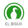 Bigua de Neuquen Women logo - Argentina Wasl Bigua De Neuquen Women Vs Obras Women Live Basketball