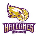 Halcones de Xalapa logo - Lnbp Halcones Rojos Vs Halcones De Xalapa Schedule