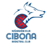 Cibona Zagreb logo - Aba League Cibona Zagreb Vs Ilirija Live Result