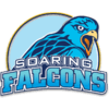 Adamson Soaring Falcons Young logo - Pinoyliga Cup Adamson Soaring Falcons Young Vs Mapua Cardinals Basketball