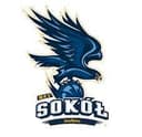 Sokol Miedzychod logo - Poland Liga Tarnovia Basket Vs Sokol Miedzychod Live Score Today