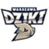Nysa Klodzko logo - Poland Liga Basket Nysa Vs Nysa Klodzko Live Score Today