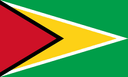 Guyana Women logo - Central America Wcac Virgin Islands Women Vs Guyana Women Basketball Score