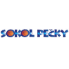 Sokol Pecky Women logo - Czech Womens Liga Ba Sparta Women Vs Sokol Pecky Women Results