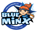 Samsunglife Blueminx logo - Live Wkbl Bnk Sum Women Vs Samsunglife Blueminx