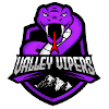 Virginia Valley Vipers logo - Usa Tbl Albany Patroons Vs Virginia Valley Vipers Basketball Live Score