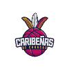 Caribenas de Caracas Women logo - Vwsl Caribenas De Caracas Women Vs Capitalinas Women Basketball Result