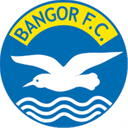 Bangor Women logo - W VS Bangor Women Result Today