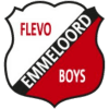 Flevo Boys logo - Hbc VS Flevo Boys Result
