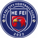 Hefei City logo - City VS Nanjing Longsheng Result