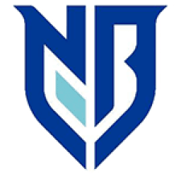 Ningbo Professional Football Club logo