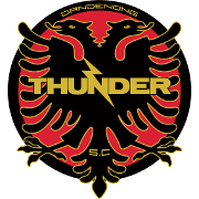 Dandenong Thunder logo