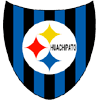 Huachipato (W) logo - W VS Magallanes W Result Today
