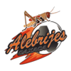 Alebrijes de Oaxaca II logo - Ii VS Selva Canera Live Score