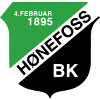 Honefoss (w) logo - W VS Stabaek W Score Today