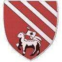 Droylsden logo - Droylsden VS Rhyl Fc Live