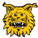 FC Ilves U21 logo - U VS Fc Ilves U Sport
