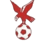 Whitehawk logo