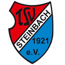 TSV Steinbach Haiger logo - Haiger VS Tsg Balingen Score Today