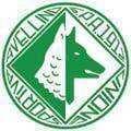 Avellino logo - Empoli VS Avellino Score