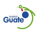 Guatemala U17 logo - Haitiu VS Guatemala U Score