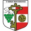 TJ Tatran Bohunice logo - Bohunice VS Velke Mezirici Score