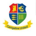 Carrigaline United logo - Rockmount VS Carrigaline United Result Today