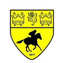 Newmarket Town logo - United VS Newmarket Town Live Score