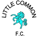 Little Common FC logo - Fc VS Haywards Heath Town Result