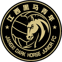 Jiangxi Dark Horse Junior logo - Junior VS Quanzhou Yassin Result