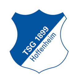 TSG Hoffenheim logo
