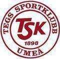 Tegs SK logo