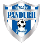 ACS Viitorul Pandurii Targu Jiu logo