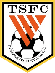 Shandong Taishan logo