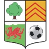 AFC Llwydcoed logo - Llwydcoed VS Lliswerry Afc Live Score