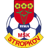TeslaStropkov logo
