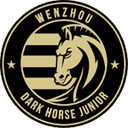 Wenzhou Professional Football Club logo - Club VS Shenzhen Score