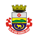 Sao Gabriel RS logo - Rs VS Comercialms Score Today