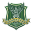 Peiying Youth League logo - Technology VS Peiying Youth League Result Today