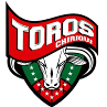Bistrica logo - Bistrica VS Nk Brinje Grosuplje Score Today