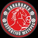 Deportivo Metepec logo - Metepec VS Fuerza Mazahua Fc Result Today