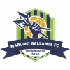 Marumo Gallants FC logo