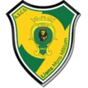 Lions MM Montemiletto logo - Montemiletto VS Agerola Result Today