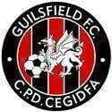 Guilsfield logo - Guilsfield VS Gresford Sport