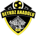 Beykoz Anadolu logo - Anadolu VS Adana Sport