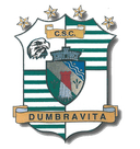 CSC Dumbravita U19 logo - U VS Csc Dumbravita U Live