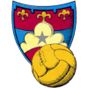 Gubbio logo - Fiorentina VS Gubbio Live Score