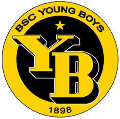 Young Boys Women logo