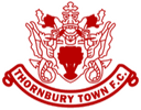 Thornbury Town logo - Town VS Brislington Result Today