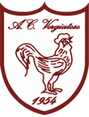Vergiatese logo - Vergiatese VS Vigevano Calcio Live